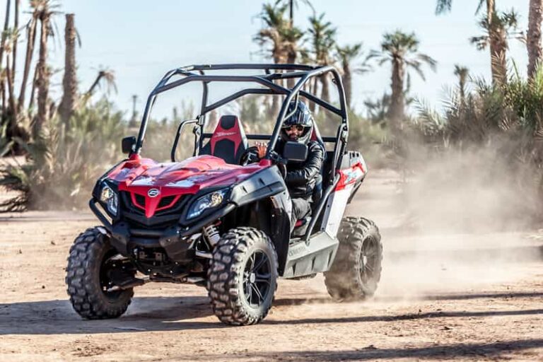 Buggy at the Palmeraie
